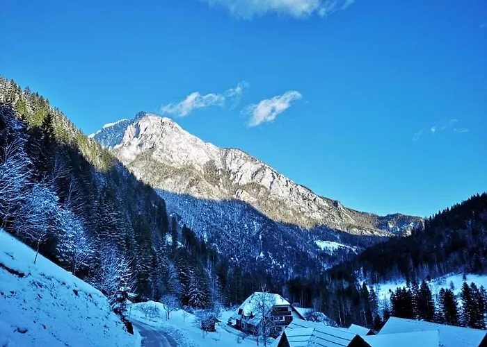 Apartamento Mala Hisa Solčava