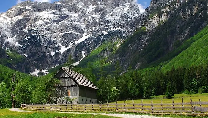 アパート Mala Hisa Solčava