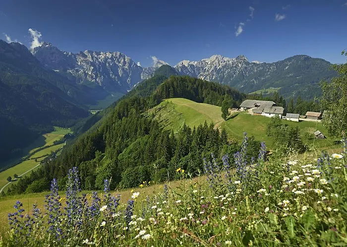 Apartamento Mala Hisa *